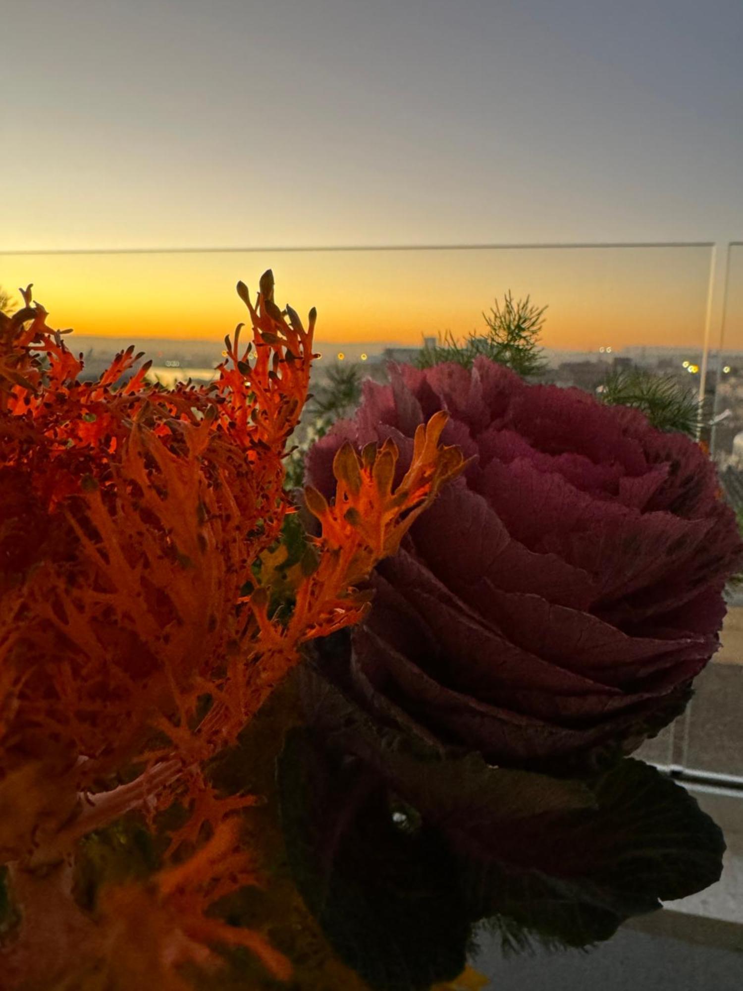 Bed and Breakfast La Terrazza Sul Porto Syracuse Exterior foto