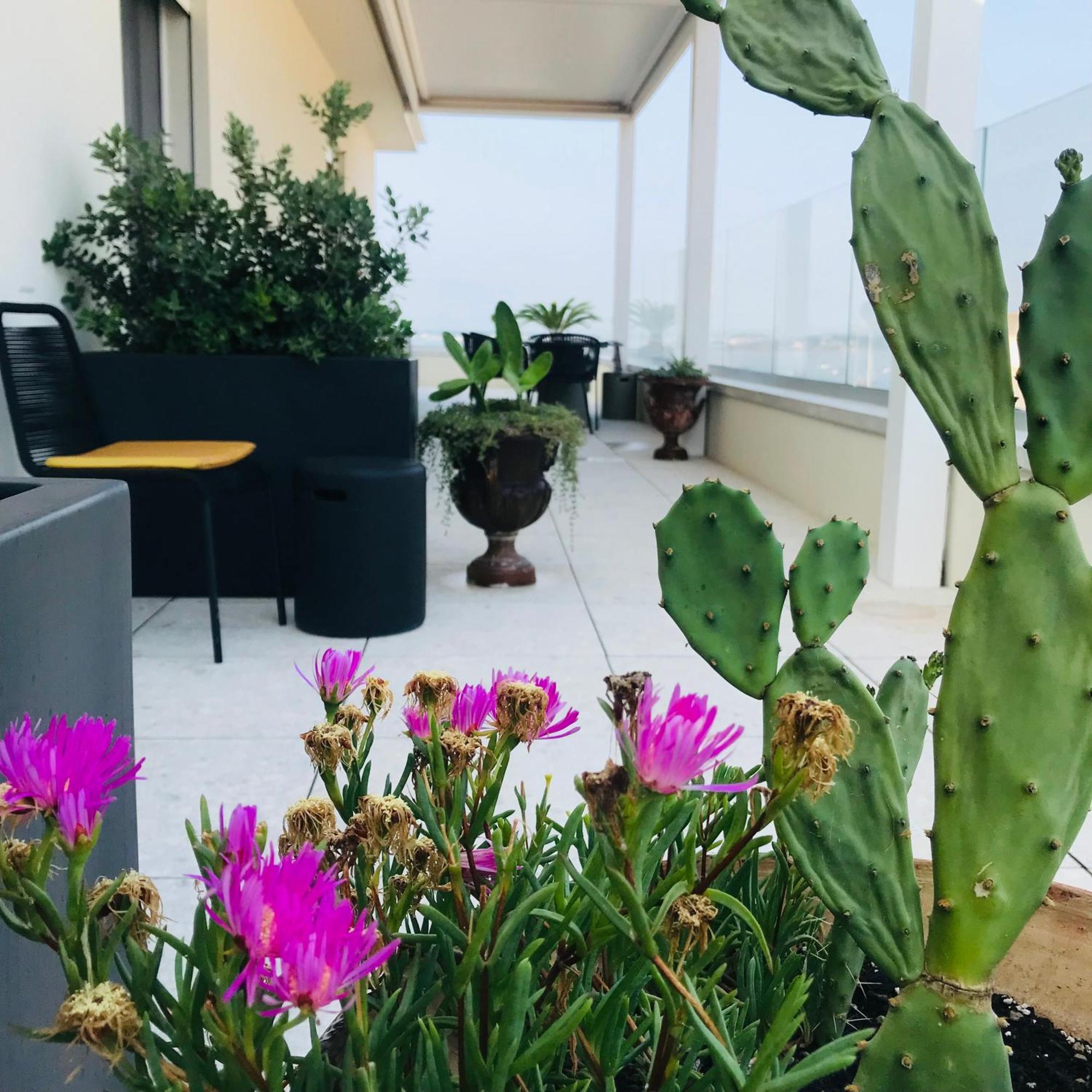 Bed and Breakfast La Terrazza Sul Porto Syracuse Exterior foto